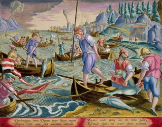 Pesca con redes y tridentes en la Bahía de Nápoles, lámina 89 de 